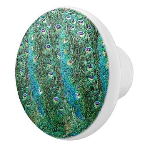 Peacock feathers abstract _ pattern in acrylic   ceramic knob