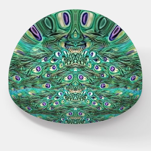 Peacock feathers abstract _ pattern in acrylic paperweight