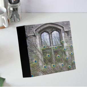 Peacock Feathers and Gothic Windows 3 Ring Binder