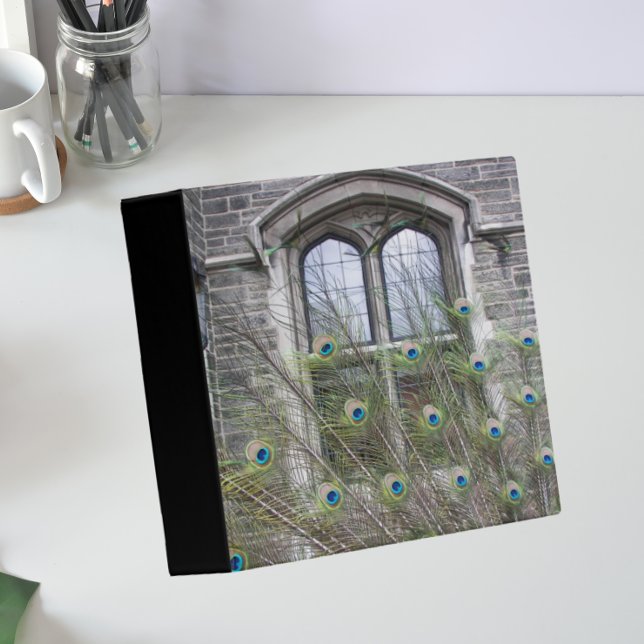 Peacock Feathers and Gothic Windows 3 Ring Binder (In Situ Angled)