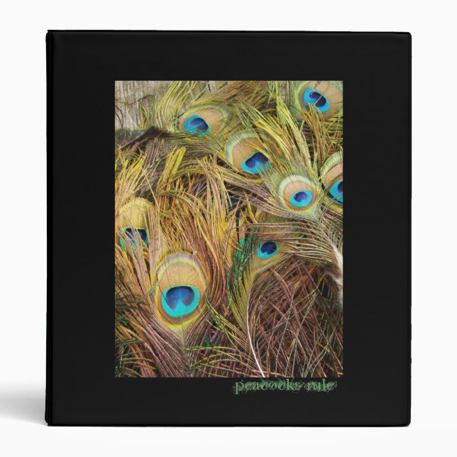 Peacock Feathers Avery Binder (Front)