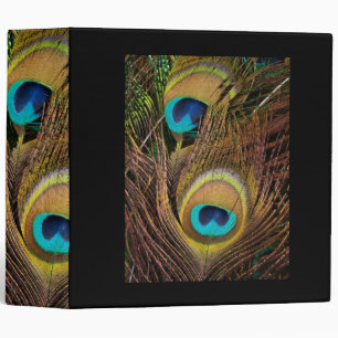 Peacock Feathers Avery Binder