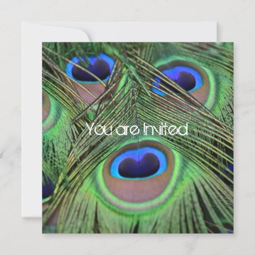 Peacock Feathers Baby Shower Invitation