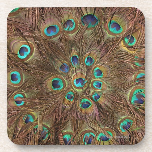 Peacock feathers beverage coaster (Front)