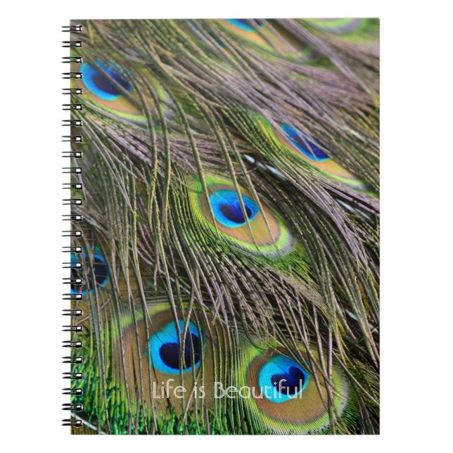 Peacock Feathers Bird Kauai (my photography) Notebook (Front)