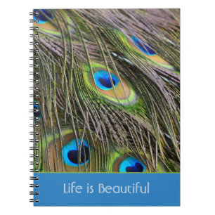 Peacock Feathers Bird Kauai (my photography) Notebook
