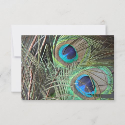 Peacock Feathers Birds Save The Date Announcements