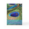 Peacock Feathers Birthday Card