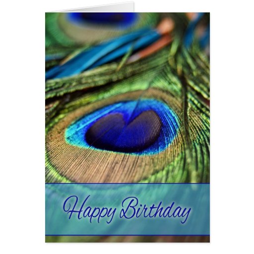 Peacock Feathers Birthday Card | Zazzle