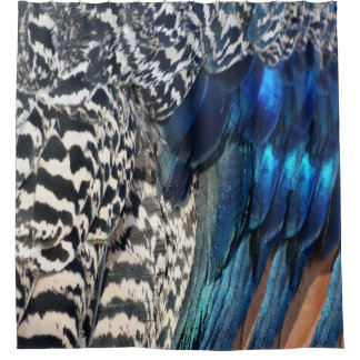 Shower Curtains black and blue shower curtains : Peacock Blue Shower Curtains | Zazzle