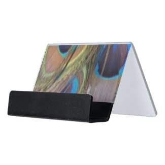 Peacock Feathers Bright Desk Business Card Holder