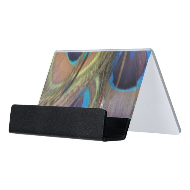 Peacock Feathers Bright Desk Business Card Holder (Angled Front)