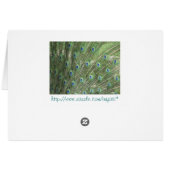 Peacock Feathers Cards (Back Horizontal)