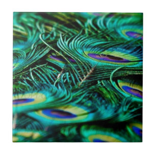 Peacock Feathers Ceramic Tile