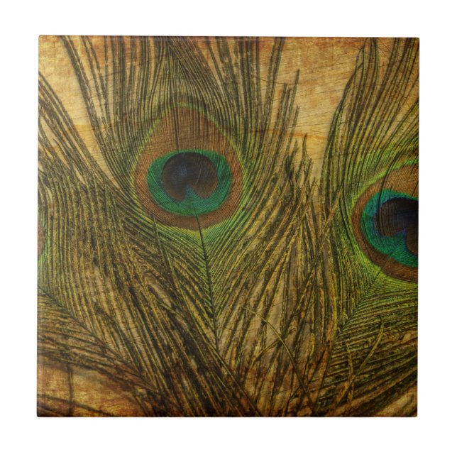 Peacock Feathers Ceramic Tile (Front)