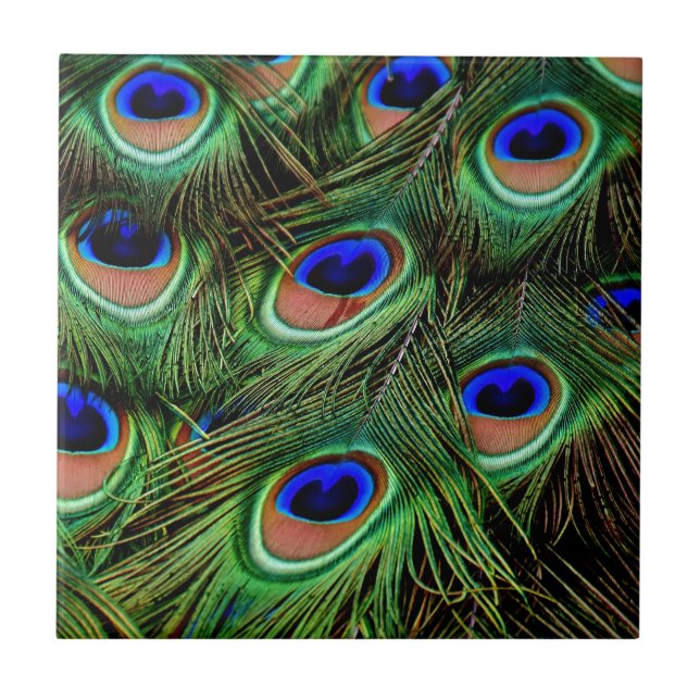 Peacock Feathers Ceramic Tile (Front)