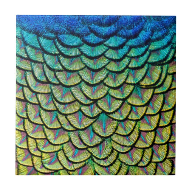 Peacock Feathers Close Up in Art Deco Pattern Ceramic Tile (Front)