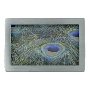 Peacock Feathers Close Up Photo Belt Buckle