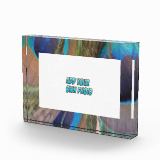 Peacock Feathers Customizable Photo Block