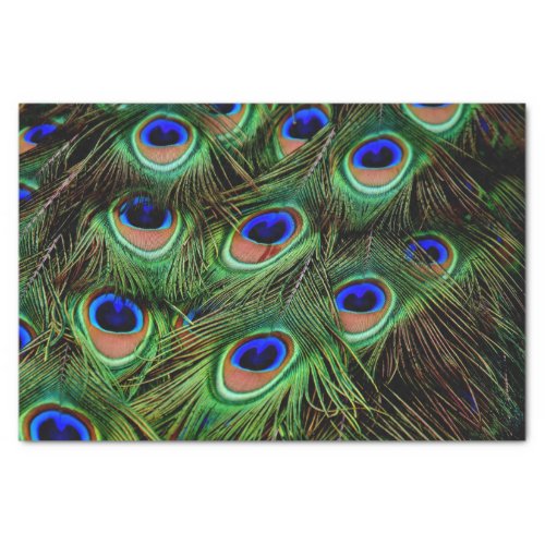 Peacock Feathers Decoupage Tissue Paper