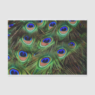 Peacock Feathers Decoupage Tissue Paper