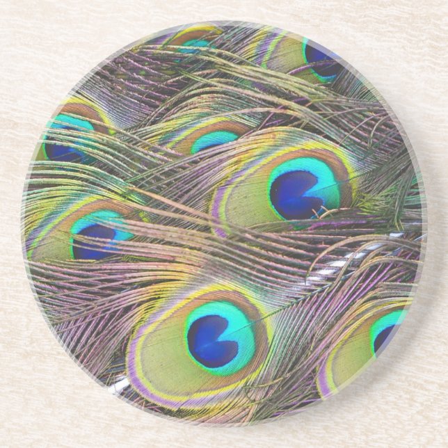 Peacock Feathers Drink Coaster (Front)