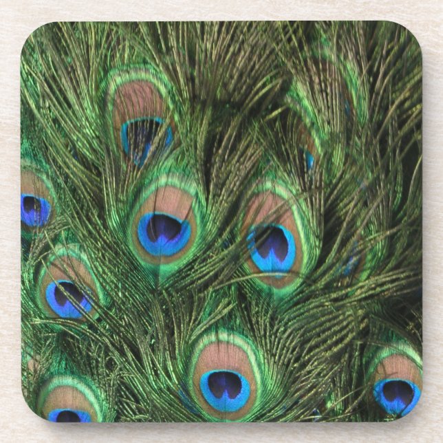 Peacock Feathers Drink Coaster (Front)