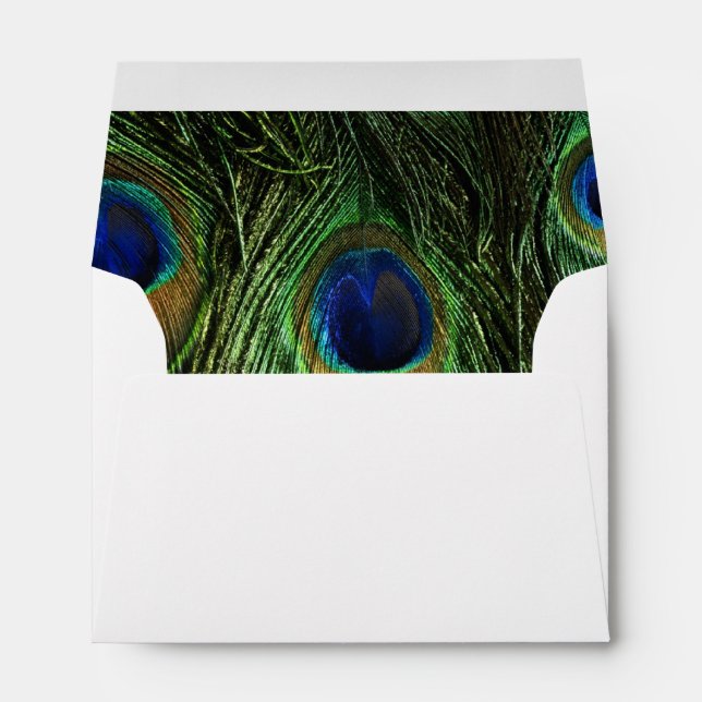 Peacock Feathers Envelope (Back (Bottom))
