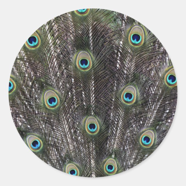 Peacock Feathers Envelope Seal Stickers (Front)