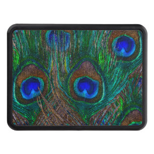 Peacock Feathers Etching Style Tow Hitch Cover