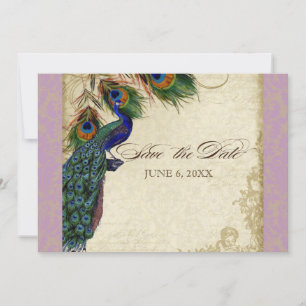 Peacock & Feathers Formal Save the Date Aqua Blue Invitation