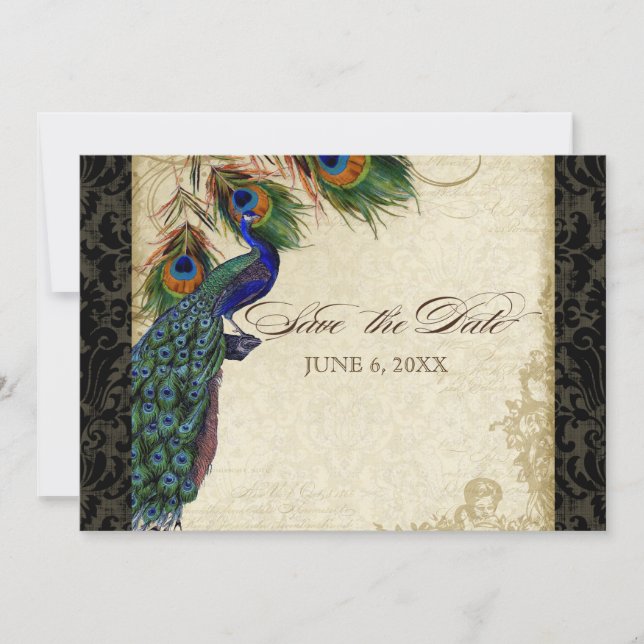 Peacock & Feathers Formal Save the Date Black Tan (Front)