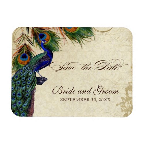 Peacock  Feathers Formal Save the Date Black Tan Magnet