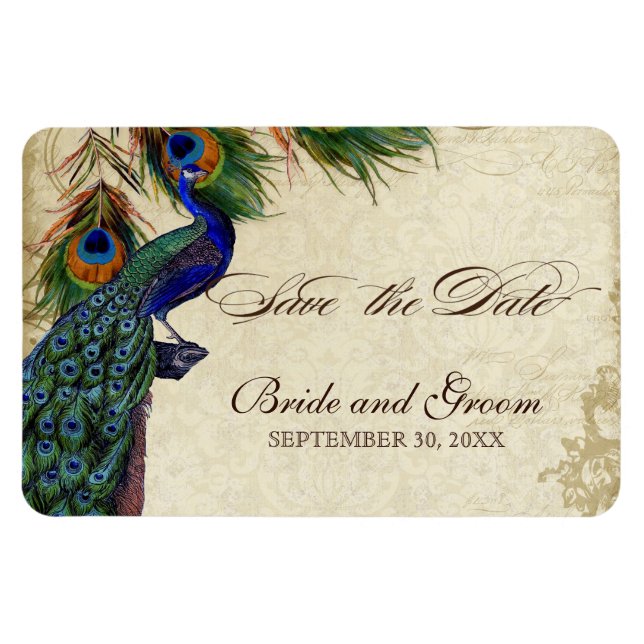 Peacock & Feathers Formal Save the Date Black Tan Magnet (Horizontal)