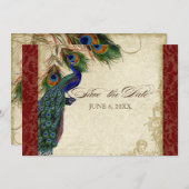 Peacock & Feathers Formal Save the Date Burgundy Invitation (Front/Back)