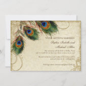 Peacock & Feathers Formal Save the Date Burgundy Invitation (Back)