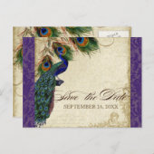 Peacock & Feathers Formal Save the Date Purple Announcement Postcard (Front/Back)