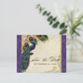 Peacock & Feathers Formal Save the Date Purple Announcement Postcard (Standing Front)