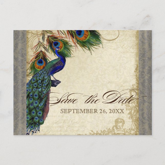 Peacock & Feathers Formal Save the Date Silver Announcement Postcard (Front)