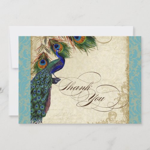 Peacock Feathers Formal Thank You Notes Aqua Blue