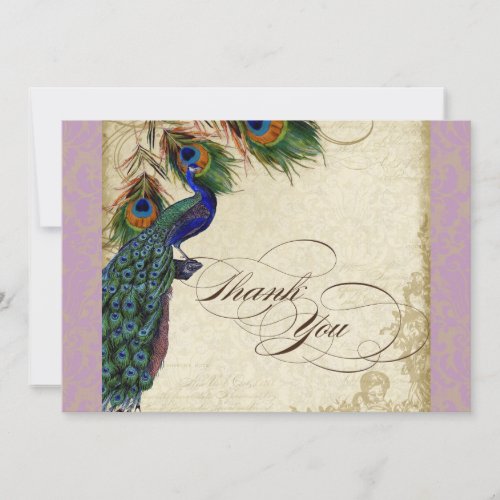 Peacock Feathers Formal Thank You Notes Lavender