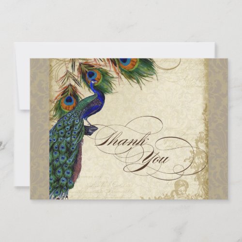 Peacock Feathers Formal Thank You Notes Taupe