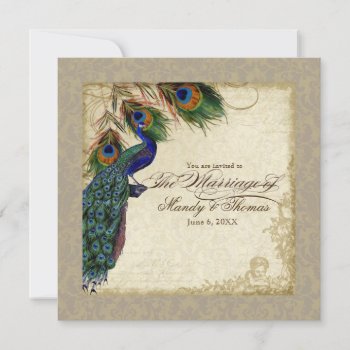 Peacock & Feathers Formal Wedding Invite Taupe Tan by VintageWeddings at Zazzle