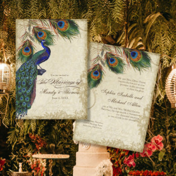 Peacock & Feathers Formal Wedding Tea Stained Invitation by VintageWeddings at Zazzle