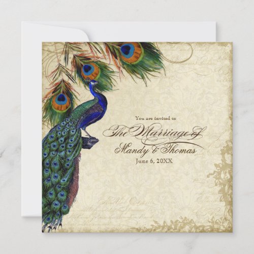 Peacock  Feathers Formal Wedding Tea Stained Invitation