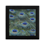 Peacock Feathers Gift Box