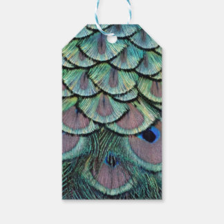 peacock feathers gift tags