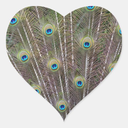 Peacock Feathers Heart Sticker