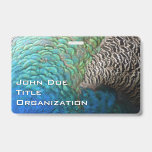 Peacock Feathers I Colorful Abstract Nature Design Badge