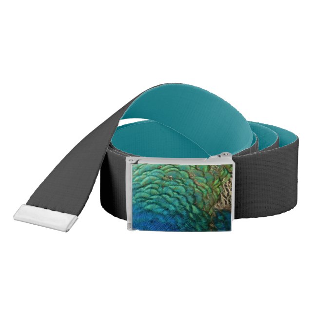Peacock Feathers I Colorful Abstract Nature Design Belt (Snake)